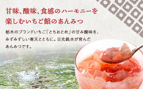 日光いちごミルクあんみつ 6個　スイーツ 和スイーツ デザート あんみつ 寒天 餡子 ミルク いちご イチゴ 苺 ギフト セット おやつ 日光 栃木