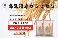 【令和7年産】【定期配送】南魚沼産コシヒカリ&nbsp;白米&nbsp;5kg×2袋(10kg)&nbsp;全12回