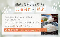 【令和7年産米】南魚沼産コシヒカリ&nbsp;白米&nbsp;5kg【銘柄米&nbsp;ブランド米&nbsp;精米&nbsp;こしひかり&nbsp;コシヒカリ&nbsp;魚沼産&nbsp;新潟米&nbsp;産地直送&nbsp;お米&nbsp;米&nbsp;こめ&nbsp;コメ&nbsp;ご飯&nbsp;御飯&nbsp;ごはん】