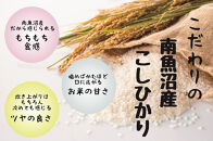 【令和7年産】【定期配送】南魚沼産コシヒカリ&nbsp;白米&nbsp;5kg&nbsp;全12回