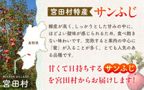 サンふじリンゴ（１０ｋｇ）（予約制）（りんご 林檎 フルーツ ビタミン 果物 くだもの 食品  上伊那 宮田村 長野 信州 甘い 新鮮 人気 ギフト 贈答 お祝い プレゼント 贈り物  特産品）