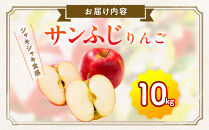 サンふじリンゴ（１０ｋｇ）（予約制）（りんご 林檎 フルーツ ビタミン 果物 くだもの 食品  上伊那 宮田村 長野 信州 甘い 新鮮 人気 ギフト 贈答 お祝い プレゼント 贈り物  特産品）