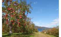 サンふじリンゴ（１０ｋｇ）（予約制）（りんご 林檎 フルーツ ビタミン 果物 くだもの 食品  上伊那 宮田村 長野 信州 甘い 新鮮 人気 ギフト 贈答 お祝い プレゼント 贈り物  特産品）