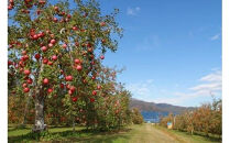 サンふじリンゴ（５ｋｇ）（予約制）（りんご 林檎 フルーツ ビタミン 果物 くだもの   上伊那 宮田村 長野 信州 甘い 新鮮 人気 ギフト 贈答 お祝い プレゼント 贈り物 特産品）