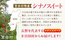 季節のりんご『シナノスイート』（５ｋｇ）（予約制）（りんご&nbsp;林檎&nbsp;フルーツ&nbsp;ビタミン&nbsp;果物&nbsp;くだもの&nbsp;食品&nbsp;人気&nbsp;上伊那&nbsp;宮田村&nbsp;長野&nbsp;信州&nbsp;甘い&nbsp;新鮮&nbsp;人気&nbsp;ギフト&nbsp;贈答&nbsp;お祝い&nbsp;プレゼント&nbsp;贈り物&nbsp;&nbsp;特産品）
