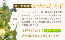 季節のりんご『シナノゴールド』（５ｋｇ）（予約制）（りんご&nbsp;林檎&nbsp;フルーツ&nbsp;ビタミン&nbsp;果物&nbsp;くだもの&nbsp;上伊那&nbsp;宮田村&nbsp;長野&nbsp;信州&nbsp;甘い&nbsp;新鮮&nbsp;人気&nbsp;ギフト&nbsp;贈答&nbsp;お祝い&nbsp;プレゼント&nbsp;贈り物&nbsp;特産品）