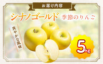 季節のりんご『シナノゴールド』（５ｋｇ）（予約制）（りんご&nbsp;林檎&nbsp;フルーツ&nbsp;ビタミン&nbsp;果物&nbsp;くだもの&nbsp;上伊那&nbsp;宮田村&nbsp;長野&nbsp;信州&nbsp;甘い&nbsp;新鮮&nbsp;人気&nbsp;ギフト&nbsp;贈答&nbsp;お祝い&nbsp;プレゼント&nbsp;贈り物&nbsp;特産品）
