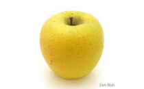 季節のりんご『シナノゴールド』（５ｋｇ）（予約制）（りんご&nbsp;林檎&nbsp;フルーツ&nbsp;ビタミン&nbsp;果物&nbsp;くだもの&nbsp;上伊那&nbsp;宮田村&nbsp;長野&nbsp;信州&nbsp;甘い&nbsp;新鮮&nbsp;人気&nbsp;ギフト&nbsp;贈答&nbsp;お祝い&nbsp;プレゼント&nbsp;贈り物&nbsp;特産品）