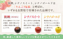 季節のりんご『お任せコース』（５ｋｇ）（予約制）（りんご&nbsp;林檎&nbsp;フルーツ&nbsp;ビタミン&nbsp;果物&nbsp;くだもの&nbsp;上伊那&nbsp;宮田村&nbsp;長野&nbsp;信州&nbsp;甘い&nbsp;新鮮&nbsp;人気&nbsp;ギフト&nbsp;贈答&nbsp;&nbsp;特産品）