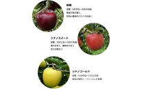 季節のりんご『お任せコース』（５ｋｇ）（予約制）（りんご&nbsp;林檎&nbsp;フルーツ&nbsp;ビタミン&nbsp;果物&nbsp;くだもの&nbsp;上伊那&nbsp;宮田村&nbsp;長野&nbsp;信州&nbsp;甘い&nbsp;新鮮&nbsp;人気&nbsp;ギフト&nbsp;贈答&nbsp;&nbsp;特産品）