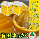 2箱セット&nbsp;ちょっと&nbsp;傷あり&nbsp;手さげ箱&nbsp;有田&nbsp;はっさく&nbsp;2L&nbsp;~&nbsp;M&nbsp;4~6玉入&nbsp;南泰園&nbsp;みかん
