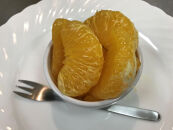 ちょっと&nbsp;傷あり&nbsp;手さげ箱&nbsp;有田&nbsp;はっさく&nbsp;2L&nbsp;~&nbsp;M&nbsp;4~6玉入&nbsp;ムッキー&nbsp;同梱&nbsp;南泰園&nbsp;みかん