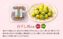梅干し&nbsp;しらぼし梅&nbsp;約400g&nbsp;塩のみ&nbsp;無添加&nbsp;大粒&nbsp;紀州南高梅&nbsp;塩分約15％&nbsp;和歌山県産&nbsp;[&nbsp;定期便&nbsp;毎月発送・全6回&nbsp;]