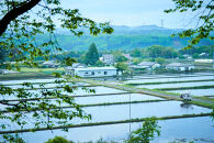 NASU SATOYAMA FIELD コテージC 1泊 宿泊券(ハイシーズン4月~9月) | チケット 旅行 宿泊 キャンプ 自然 体験 BBQ アクティビティ 那須 栃木
