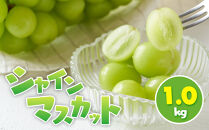 シャインマスカット 1.0kg