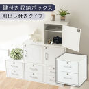 【完成品でお届け】鍵付き収納ボックス〔幅35cm・引出し付きタイプ〕（ホワイト）キューブボックス&nbsp;扉付き&nbsp;鍵付き&nbsp;カラーボックス&nbsp;収納ボックス&nbsp;引き出し&nbsp;LKANET300208-3-WH