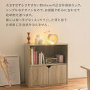 【完成品でお届け】収納ボックス〔Aタイプ〕（ピンク×ホワイト）収納棚&nbsp;扉付き&nbsp;キャビネット&nbsp;ラック&nbsp;棚&nbsp;カラーボックス&nbsp;スリム&nbsp;2段&nbsp;可動棚&nbsp;本棚&nbsp;収納家具&nbsp;リビング&nbsp;LKANET300248-A-PI