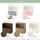 【完成品でお届け】収納ボックス〔Aタイプ〕（ホワイト）収納棚&nbsp;扉付き&nbsp;キャビネット&nbsp;ラック&nbsp;棚&nbsp;カラーボックス&nbsp;スリム&nbsp;2段&nbsp;可動棚&nbsp;本棚&nbsp;収納家具&nbsp;リビング&nbsp;LKANET300248-A-WH