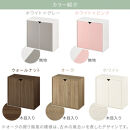 【完成品でお届け】収納ボックス〔Cタイプ〕（ホワイト）収納棚&nbsp;扉付き&nbsp;キャビネット&nbsp;ラック&nbsp;棚&nbsp;カラーボックス&nbsp;スリム&nbsp;2段&nbsp;可動棚&nbsp;本棚&nbsp;収納家具&nbsp;リビング&nbsp;LKANET300248-C-WH