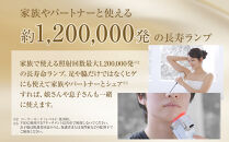 【ヤーマン】レイボーテクールプロ（光美容器）