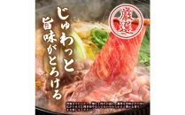 博多和牛&nbsp;切り落とし&nbsp;1kg&nbsp;(&nbsp;500g×2パック&nbsp;)