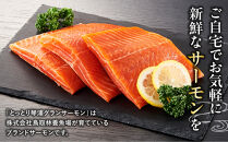 【数量限定】スモークサーモン&nbsp;とっとり&nbsp;琴浦&nbsp;グランサーモン&nbsp;500g（2～5パック）【サーモン&nbsp;サケ&nbsp;シャケ&nbsp;鮭&nbsp;魚&nbsp;国産&nbsp;スモークサーモン&nbsp;燻製&nbsp;うまみ&nbsp;うま味&nbsp;養殖&nbsp;無投薬&nbsp;栄養&nbsp;健康&nbsp;刺身&nbsp;刺し身&nbsp;カルパッチョ&nbsp;鮮度&nbsp;人気&nbsp;おすすめ&nbsp;鳥取県&nbsp;琴浦町&nbsp;送料無料】