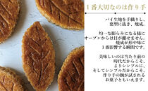 【福岡市内製造】いむりのりーふぱい（プレーン６枚 八女茶３枚）