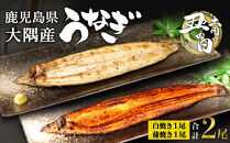 【土用丑の日】鹿児島県大隅産　千歳鰻の白焼1尾・蒲焼き1尾　合計2尾セット（1尾110g～130g）