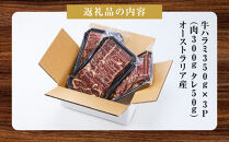 牛ハラミ約1kg(350g×3)（本格塩味）【&nbsp;牛肉&nbsp;お肉&nbsp;焼肉&nbsp;焼き肉&nbsp;やきにく&nbsp;タレ&nbsp;漬け&nbsp;付き&nbsp;味付き&nbsp;にく&nbsp;小分け&nbsp;個包装&nbsp;冷凍&nbsp;セット&nbsp;BBQ&nbsp;アウトドア&nbsp;キャンプ&nbsp;人気&nbsp;大容量&nbsp;大量&nbsp;北海道&nbsp;簡単調理&nbsp;焼くだけ&nbsp;ハラミ&nbsp;牛ハラミ&nbsp;お取り寄せ&nbsp;旭川市&nbsp;北海道&nbsp;】_5076