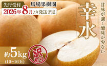 【2026年先行予約／訳あり】【馬場果樹園】梨「幸水」約5kg（10～16玉入）8月中旬～順次発送