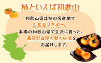 【2026年10月上旬以降発送】&nbsp;和歌山県産&nbsp;平核無柿&nbsp;ご家庭用&nbsp;約3kg&nbsp;満杯詰&nbsp;&nbsp;柿&nbsp;種無し&nbsp;たねなし&nbsp;ひらたね&nbsp;訳あり