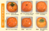 【2026年10月上旬以降発送】&nbsp;和歌山県産&nbsp;平核無柿&nbsp;ご家庭用&nbsp;約3kg&nbsp;満杯詰&nbsp;&nbsp;柿&nbsp;種無し&nbsp;たねなし&nbsp;ひらたね&nbsp;訳あり