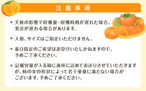 【2025年11月上旬以降発送】◆先行予約◆和歌山県産 富有柿 ＜ご家庭用＞ 約3kg 満杯詰め