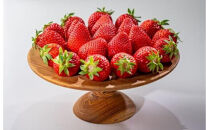 330.希少いちご『とっておき』※2026年1月中旬頃～2026年3月下旬頃に順次発送予定｜ いちご 苺 フルーツ 果物 新鮮 甘い おすすめ 人気 プレミアム 鳥取県 北栄町