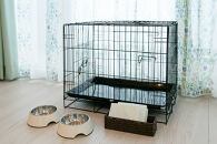 【クリスタルエグゼ南紀白浜2】スーパービューフロア/犬部屋（ペア宿泊券）（1泊素泊まり）