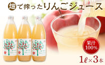 りんご ジュース 3本 × 各1000ml 大町産 箱入り