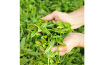 ＜大高茶園＞令和８年の新茶&nbsp;お茶処静岡&nbsp;栽培農家の八十八夜新茶&nbsp;5袋◆