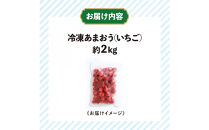 冷凍あまおう（いちご）約２kg