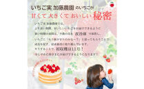 【2026年出荷の先行予約】【贈答用】&nbsp;静岡県産いちご&nbsp;紅ほっぺ&nbsp;500g×2パック（1パック12～15粒）【配送不可：北海道・沖縄・離島】&nbsp;冷蔵配送&nbsp;苺&nbsp;フルーツ◇