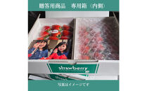 【2026年出荷の先行予約】【贈答用】&nbsp;静岡県産いちご&nbsp;紅ほっぺ&nbsp;500g×2パック（1パック12～15粒）【配送不可：北海道・沖縄・離島】&nbsp;冷蔵配送&nbsp;苺&nbsp;フルーツ◇
