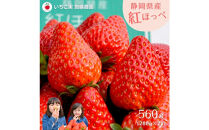 【2026年出荷の先行予約】静岡県産いちご 紅ほっぺ 280g×2パック（1パック12～15粒） 冷蔵配送【配送不可：北海道・沖縄・離島】 苺 フルーツ