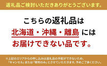 【2026年出荷の先行予約】静岡県産いちご 紅ほっぺ 280g×2パック（1パック12～15粒） 冷蔵配送【配送不可：北海道・沖縄・離島】 苺 フルーツ
