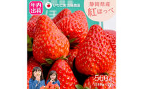 【先行予約受付中】【年内お届け！！】静岡県産いちご 紅ほっぺ 280g×2パック（1パック12～15粒） 冷蔵配送【配送不可：北海道・沖縄・離島】 苺 フルーツ