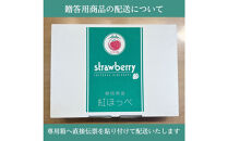【先行予約受付中】【年内お届け！！贈答用】 静岡県産いちご 紅ほっぺ 500g×2パック（1パック12～15粒） 冷蔵配送【配送不可：北海道・沖縄・離島】 苺 フルーツ