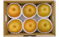 内子町産　豊水梨【5～6玉】★2025年8月下旬から発送★【北海道・沖縄配送不可】