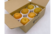 内子町産　豊水梨【5～6玉】★2025年8月下旬から発送★【北海道・沖縄配送不可】