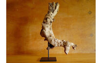 【相良パーティ】屋久島の流木【大サイズ】