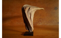 【相良パーティ】屋久島の流木【中サイズ】