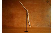 【相良パーティ】屋久島の流木【中サイズ】