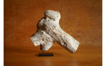 【相良パーティ】屋久島の流木【中サイズ】